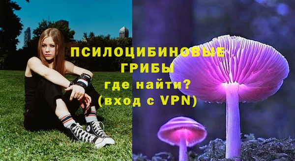 spice Алексеевка