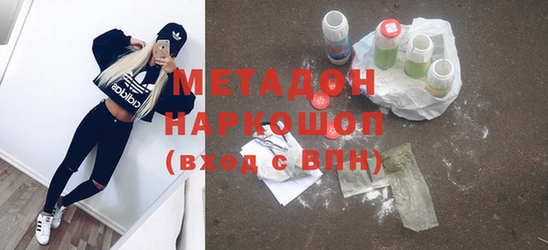 сатива Новокубанск