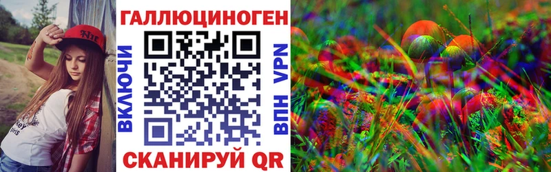 shop как зайти Новая Ладога Галлюциногенные грибы GOLDEN TEACHER закладка MEGA ССЫЛКА