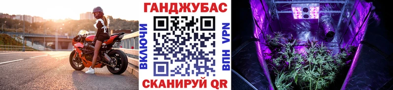 Шишки марихуана план Новая Ладога